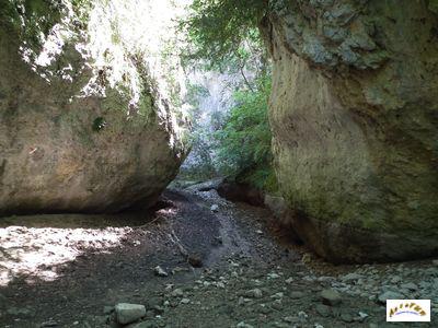 fond de la gorge