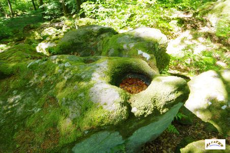 pierre druidique 9