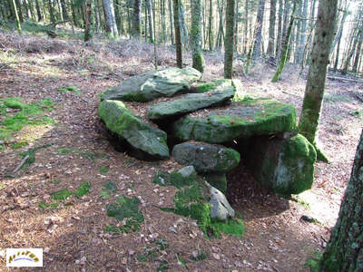 Le côté Est du dolmen