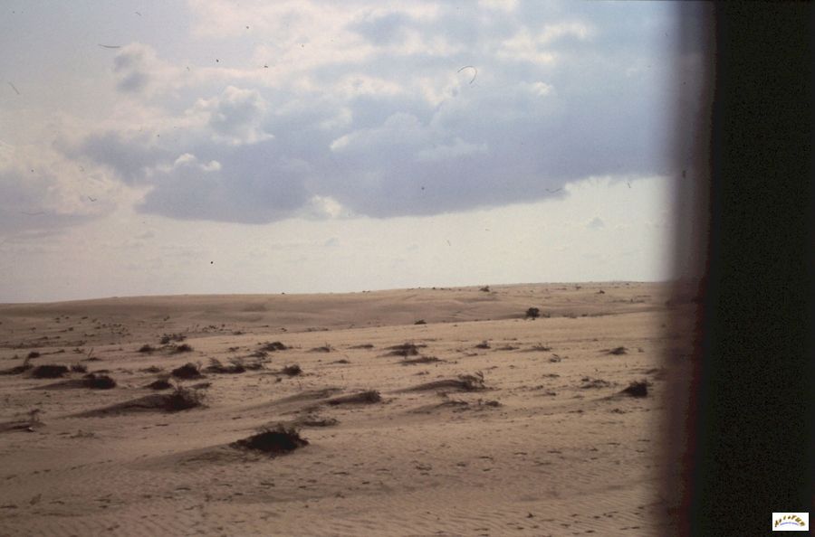 12-desert du sinai