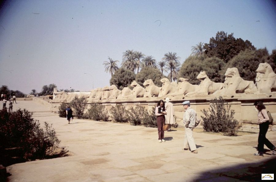 127-karnak vers louksor.jpg