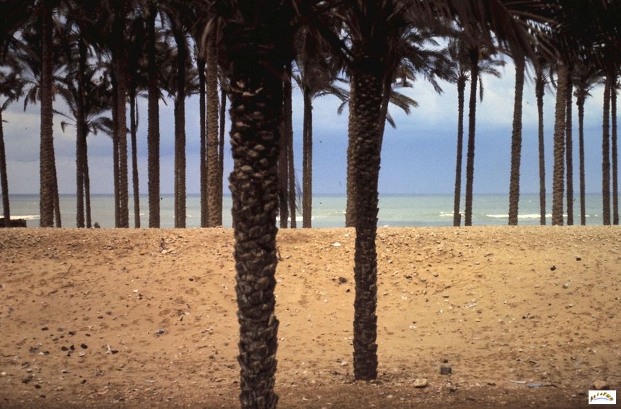 22-bord de mer dans le sinai