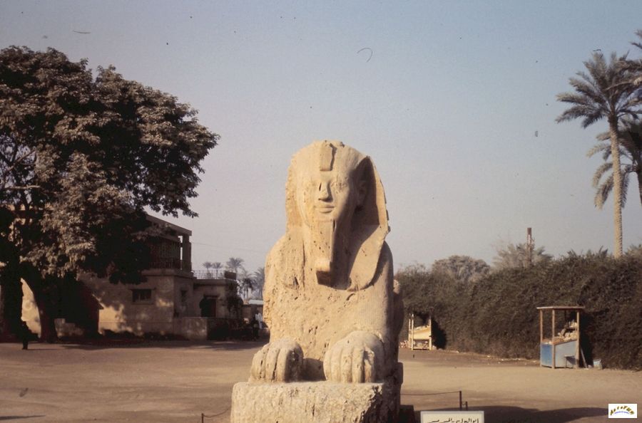 32-sphinx a saquara