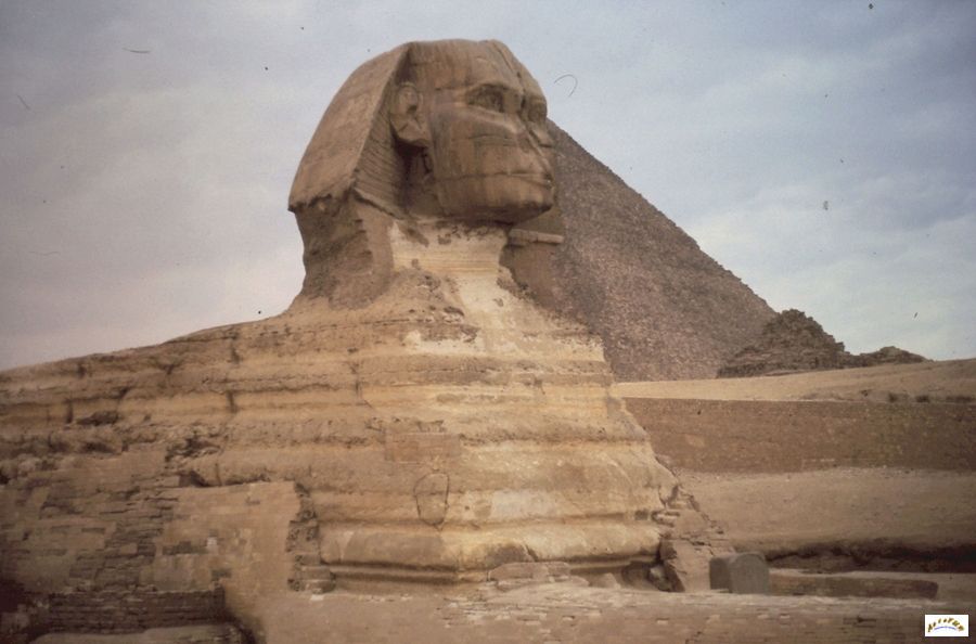 6-le sphinx