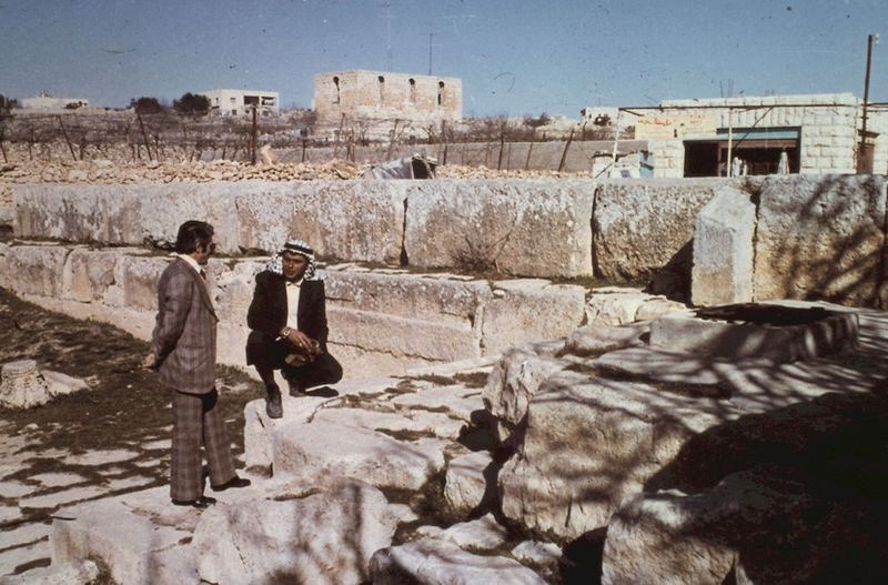 51-hebron mamre.jpg