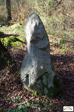 dolmen lancy 8